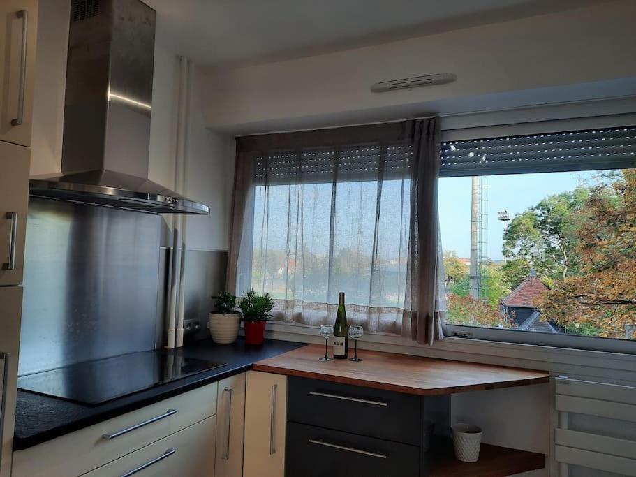 Apartamento Chez Alice Colmar Exterior foto